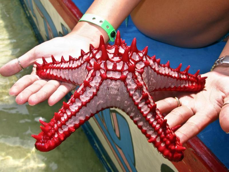 Nyumba Tulivu Apartman Watamu Kültér fotó